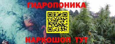 мяу мяу мука Азнакаево