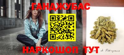 гашик Михайловка
