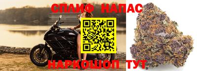 мяу мяу мука Азнакаево