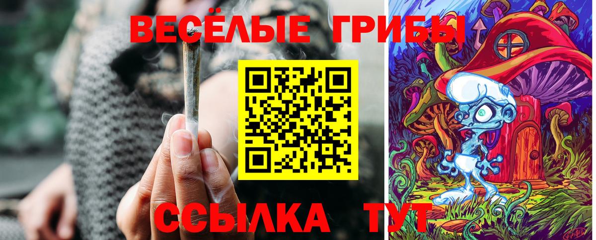 Псилоцибиновые грибы мицелий  купить наркотики сайты  Апатиты  Вход с VPN 